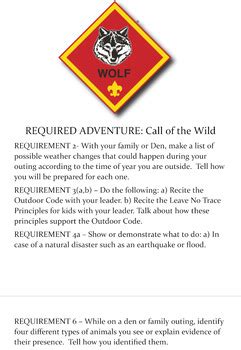 cub scouts call of the wild